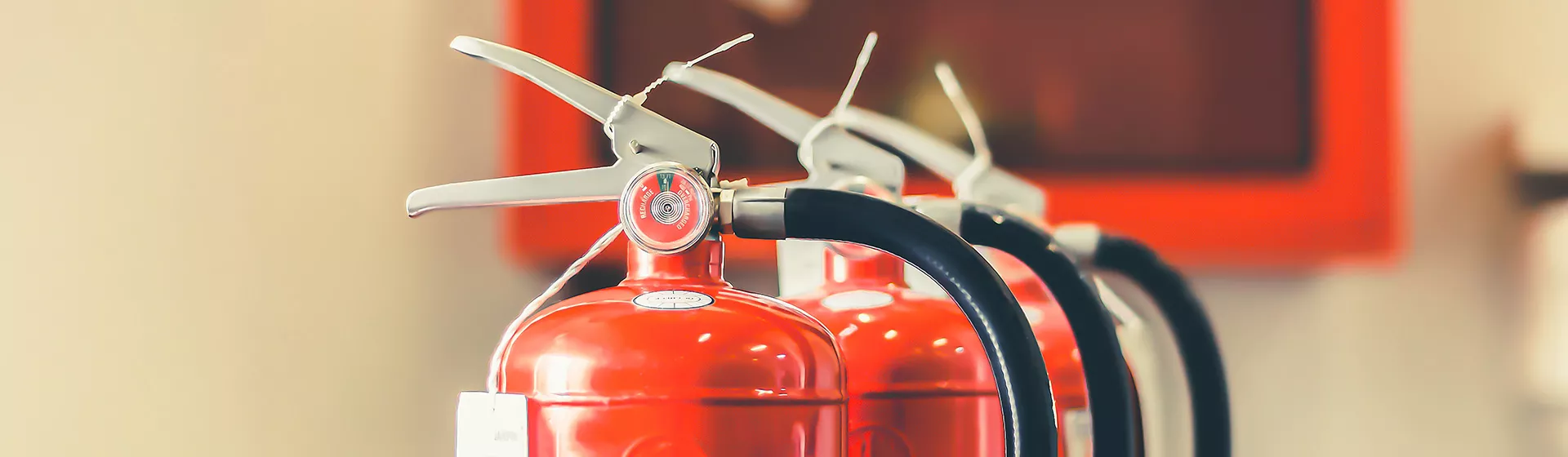 Nahaufnahme von drei Feuerlöschern vor hellem Hintergrund